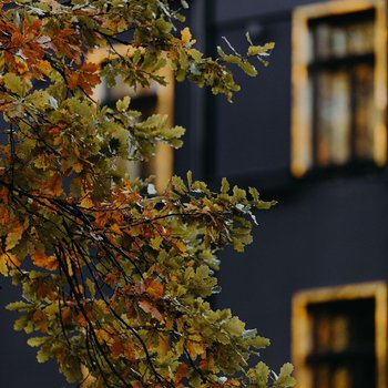 A22 Hotel