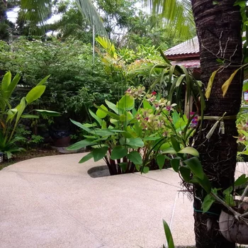 Rummana Boutique Resort