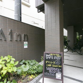Minn Kamata