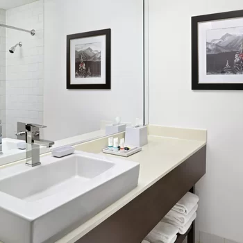 卡爾加里西福朋喜來登套房酒店