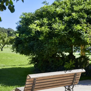 波爾圖諾蓋拉莊園