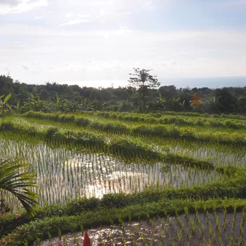 普瑞芒海景度假酒店及水療中心