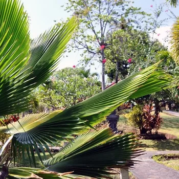 普瑞芒海景度假酒店及水療中心