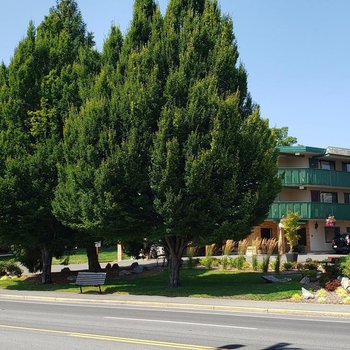 Robin Hood Inn and Suites