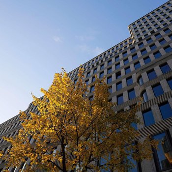 柏林多林特庫爾菲斯滕達姆酒店