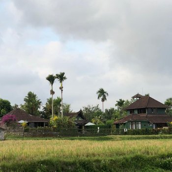 烏布戴維廣場酒店