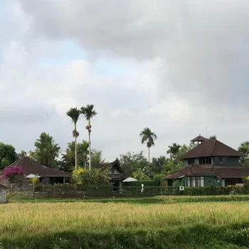 烏布戴維廣場酒店