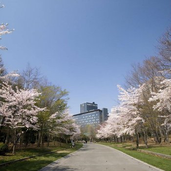 劄幌公園飯店