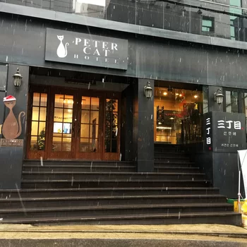 弘大新村彼得貓酒店