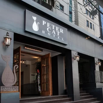 弘大新村彼得貓酒店