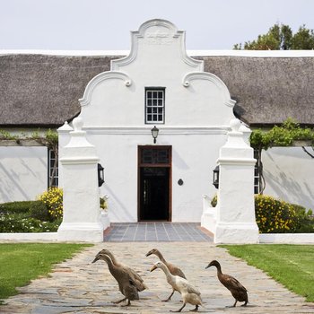 Vergenoegd Löw Boutique Hotel & Spa