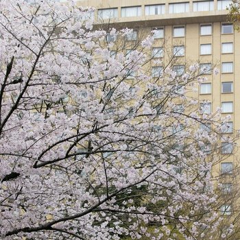 Nagoya Kanko Hotel