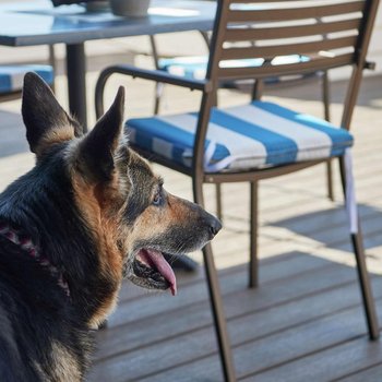 DoubleTree by Hilton Hotel Berkeley Marina