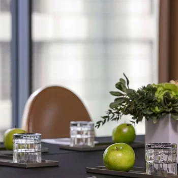 芝加哥河北皇家索內斯塔酒店