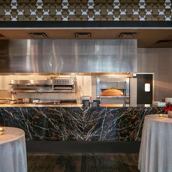 芝加哥河北皇家索內斯塔酒店