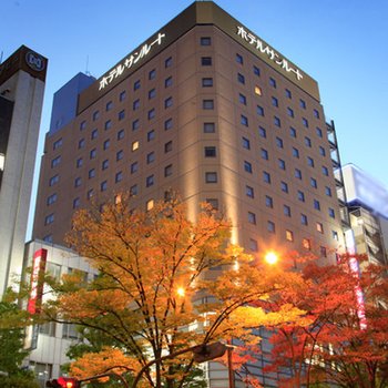 Sotetsu Fresa Inn Kawasaki-Higashiguchi