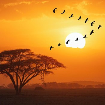 Novotel Nairobi Westlands