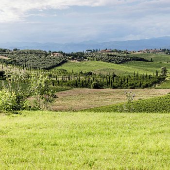 Colle Alberti Country House