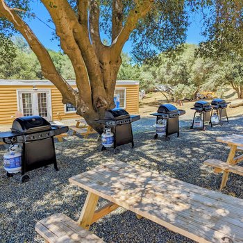 Wildhaven Yosemite Glamping