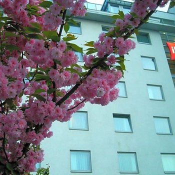 Ibis Wien City