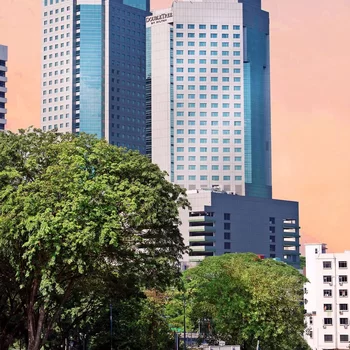 新山市希爾頓逸林酒店