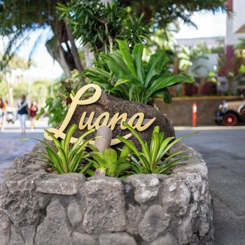 Luana Waikiki Hotel & Suites