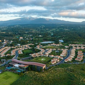 Camphortree Hotel and Resort