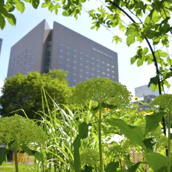 劄幌大通公園景觀酒店