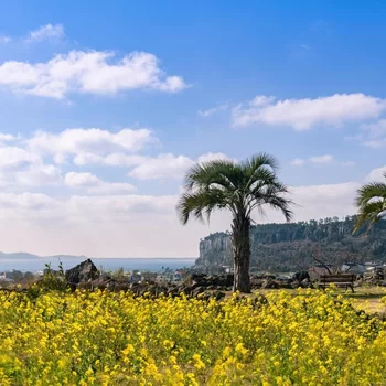 Bayhill Pool & Villa