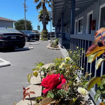 蒙特雷壁爐酒店