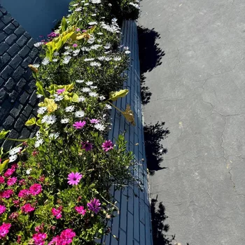 蒙特雷壁爐酒店