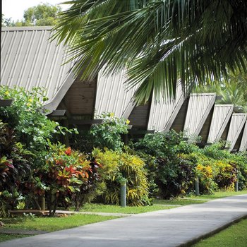 Palm Bungalows