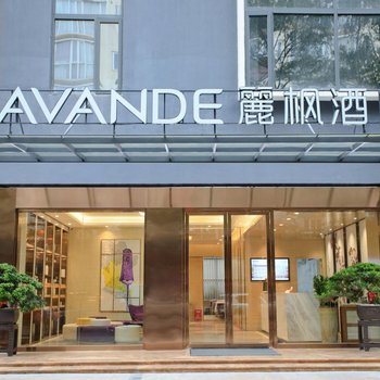 Lavande Hotel (Shenzhen Vanke Cloud City Xili Metro Station)