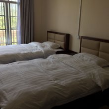 大新乐巢旅馆