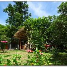 莫干山清林·闲庭山庄