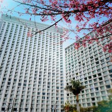 抚仙湖臻嫣芈山酒店