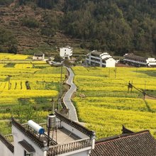婺源江岭花缘居客栈