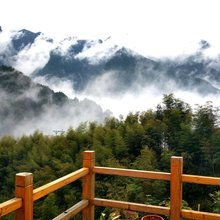 松阳观云阁客栈(西坑村店)