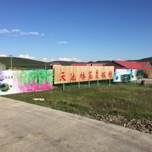 阿尔山天池林苑度假村