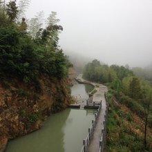 天柱山青山翠竹生态农庄