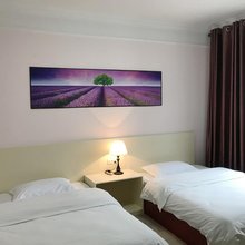 来宾艾乐时尚酒店