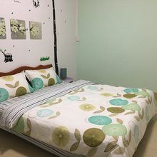 凭祥圣金公寓