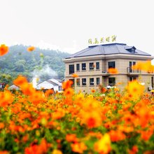 岱山蝶恋花园民宿