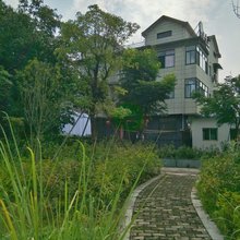 淳安满目青山农庄