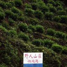 牯牛降野人山庄