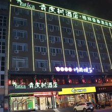 青皮树酒店(合肥安庆西路安农大地铁站店)