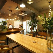 横店茶砚民宿