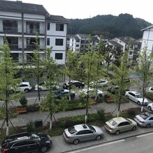 黑山谷乐旅居