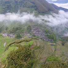 花漫里·禅修疗愈民宿(云和梯田景区店)