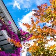 尹居·伴山花园名宿(丽江古城北门大水车店)
